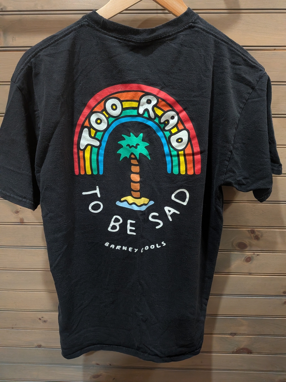 Barney Cools Black Tee with Rainbow Palm Graphic